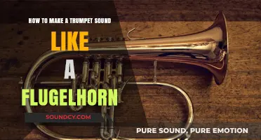 Mastering the Flugelhorn Tone: Trumpet Techniques for a Mellow Sound