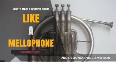Mastering the Mellophone Tone: Trumpet Techniques for a Rich, Warm Sound
