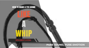 Mastering Whip-Like TTS: Techniques for Crisp, Snapping Audio Effects
