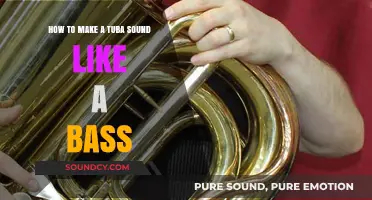 Mastering Tuba Techniques: Transforming Your Instrument into a Bass Sound