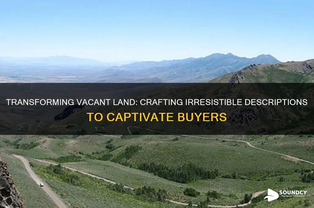 how to make a vacant land sound enticing description