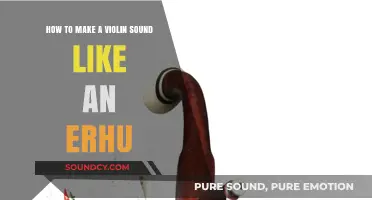 Mastering the Erhu Tone: Techniques to Transform Your Violin's Sound