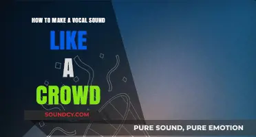 Transforming Solo Vocals into a Crowd: Techniques for a Massive Sound
