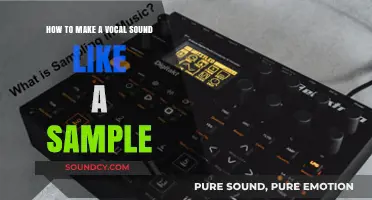 Transform Vocals into Authentic Samples: Techniques for Realistic Sound Design