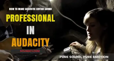 Mastering Acoustic Guitar Recordings: Professional Sound with Audacity Techniques