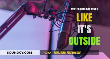 Creating Immersive Outdoor ADR: Techniques for Authentic Environmental Sound