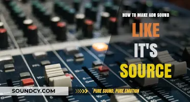Mastering ADR Techniques: Seamlessly Match Dialogue to Its Original Source