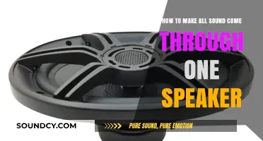 Simplify Your Audio Setup: Route All Sound to One Speaker