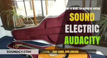Transform Acoustic Guitar to Electric Sound Using Audacity Techniques