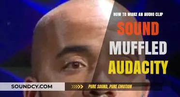 Muffle Audio in Audacity: Easy Steps for a Soft, Distant Sound