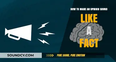 Mastering Persuasion: Techniques to Present Opinions as Factual Statements