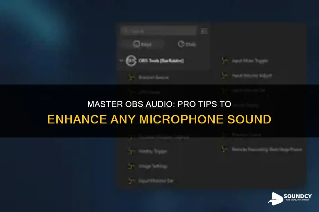 how to make any mic sound prfesinal on obs