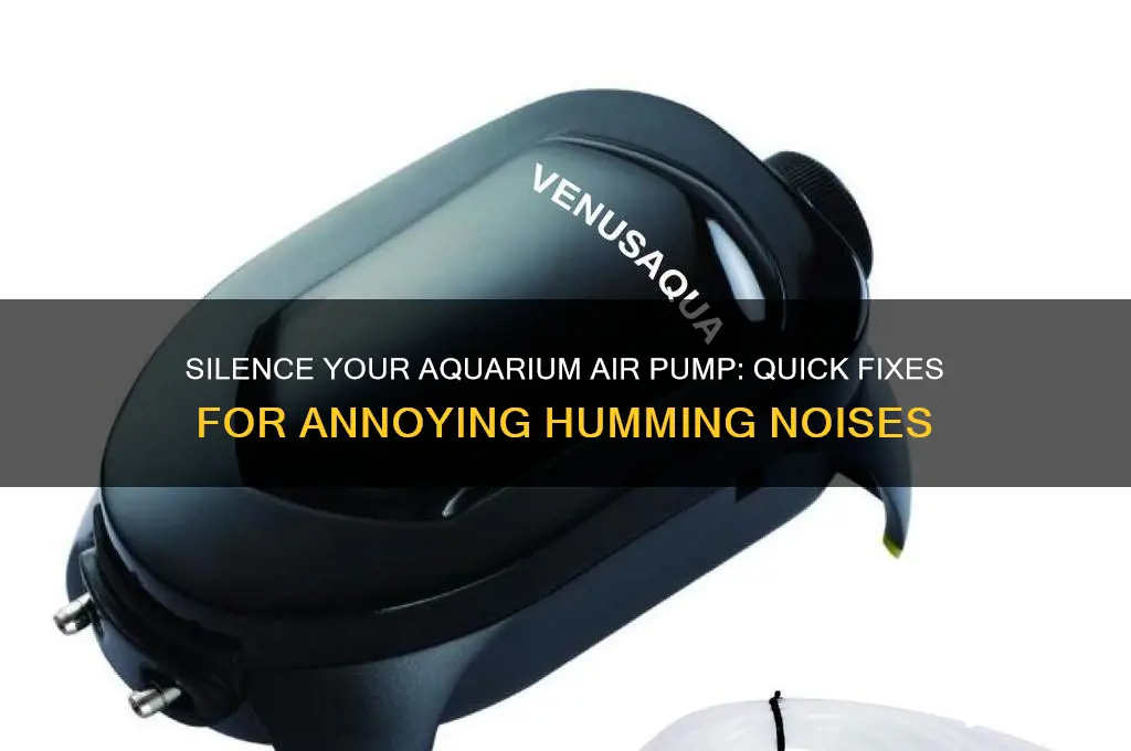 how to make aquarium air pump humming sound disappear