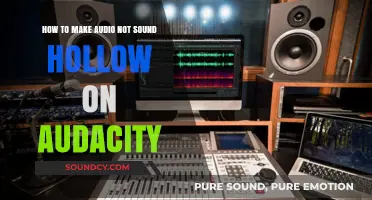 Fix Hollow Audio: Audacity Tips for Clear, Full Sound
