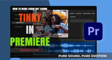 Eliminate Tinny Audio: Enhance Sound Quality in Premiere Pro