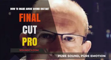 Create Distant Audio Effects in Final Cut Pro: A Step-by-Step Guide