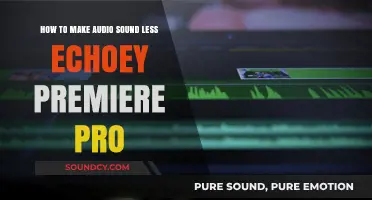Reduce Echo in Premiere Pro: Simple Steps for Clearer Audio