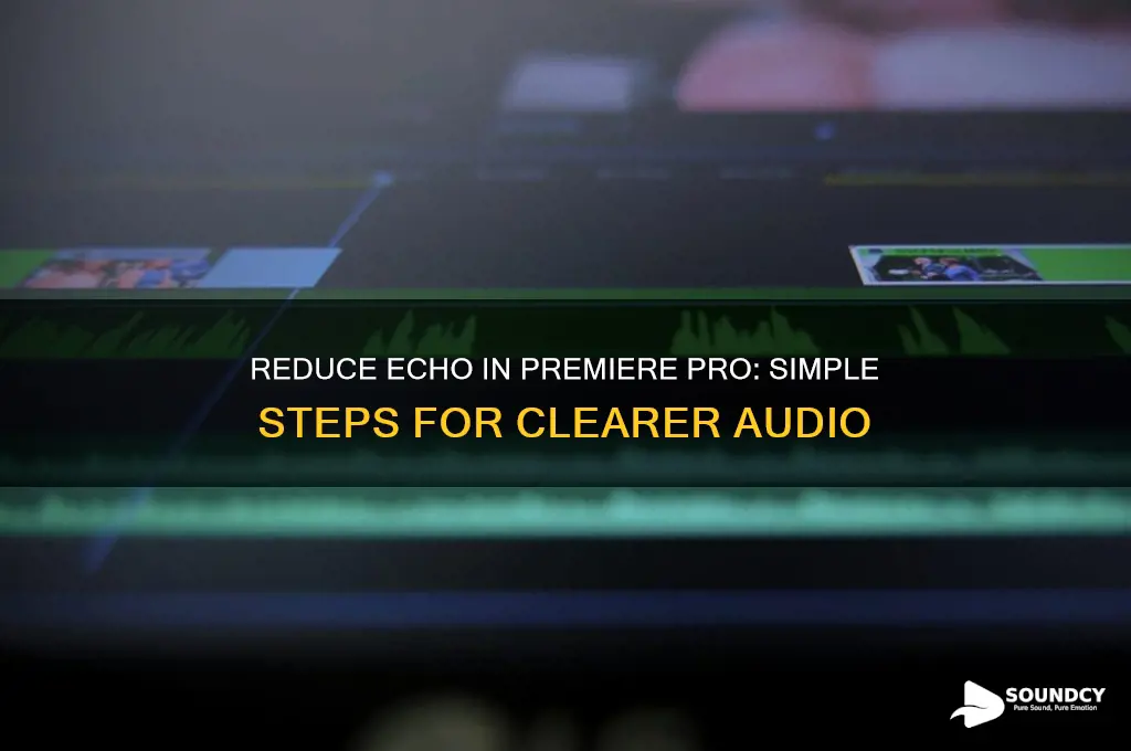 how to make audio sound less echoey premiere pro