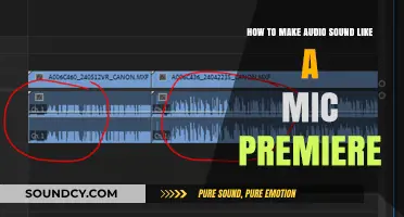 Mastering Mic-Like Audio: Premiere Pro Techniques for Realistic Sound