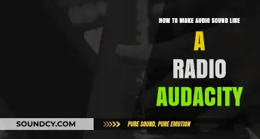 Create Authentic Radio Effects in Audacity: A Step-by-Step Guide