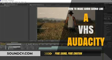 VHS Vibes: Mastering Retro Audio Effects in Audacity