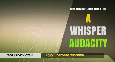 Mastering Whisper Effects: Audacity Techniques for Soft, Intimate Audio