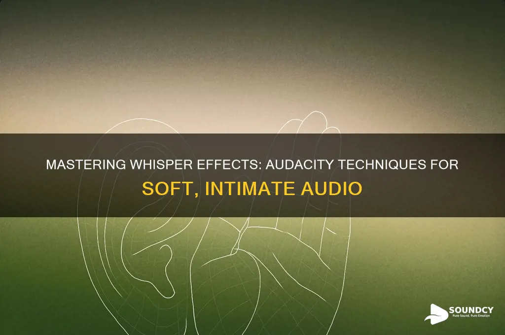 how to make audio sound like a whisper audacity