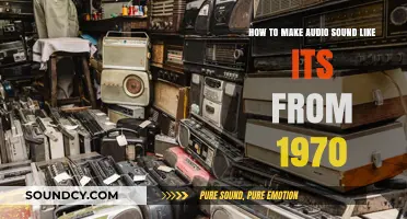 Revive Retro Vibes: Mastering 1970s Audio Effects for Authentic Sound