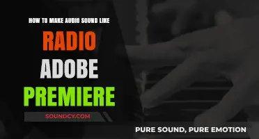 Create Authentic Radio Audio Effects in Adobe Premiere Pro