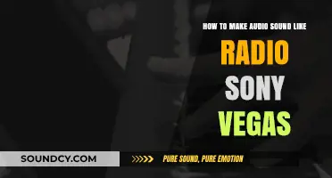 Mastering Radio-Style Audio Effects in Sony Vegas Pro: A Guide