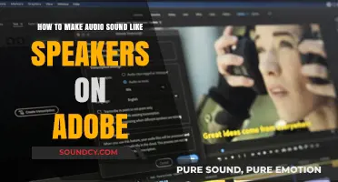 Enhance Audio with Speaker-Like Effects in Adobe: A Step-by-Step Guide