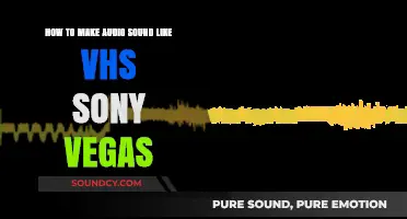 VHS Effect Tutorial: Achieve Retro Audio in Sony Vegas Pro