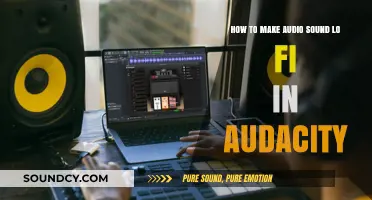 Crafting Lo-Fi Audio: Audacity Techniques for Vintage Sound Effects