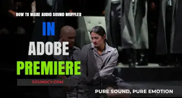 Muffle Audio in Adobe Premiere: Easy Step-by-Step Guide