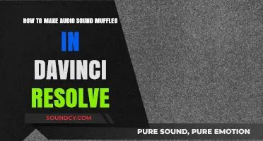 Muffle Audio in DaVinci Resolve: Easy Step-by-Step Guide