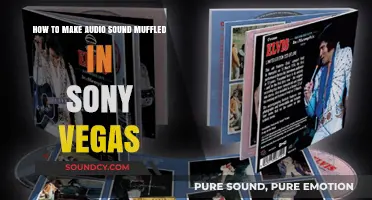 Muffle Audio in Sony Vegas: A Quick and Easy Guide