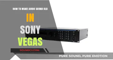 Create Vintage Audio Effects in Sony Vegas: A Step-by-Step Guide