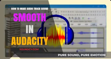 Mastering Smooth Audio: Essential Audacity Techniques for Seamless Tracks