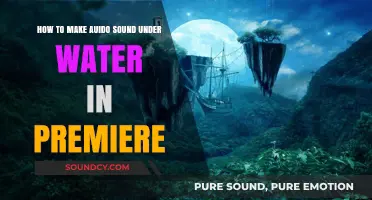 Creating Underwater Audio Effects in Premiere Pro: A Step-by-Step Guide