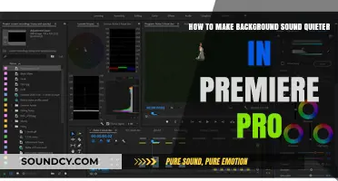 Reduce Background Noise in Premiere Pro: A Quick Audio Editing Guide