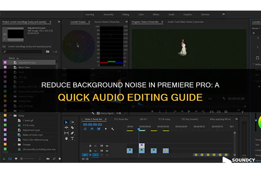 how to make background sound quieter in premiere pro