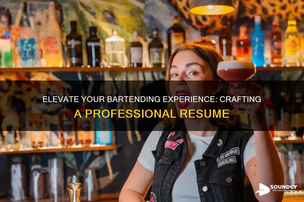how to make bartending sound professional on a resume