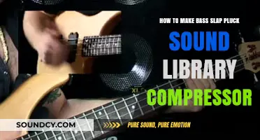Mastering Bass Slap Pluck: Crafting a Dynamic Sound Library with Compression