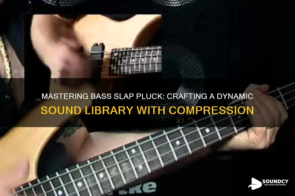 how to make bass slap pluck sound library compressor