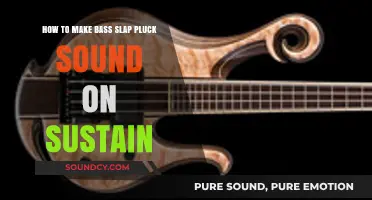 Mastering Bass Slap Pluck Sustain: Techniques for a Punchy Groove