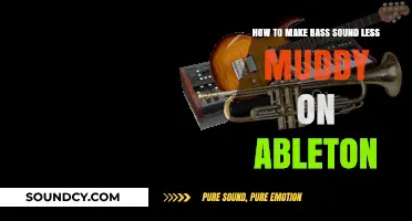 Clear Bass in Ableton: Techniques to Eliminate Muddy Low-End Frequencies