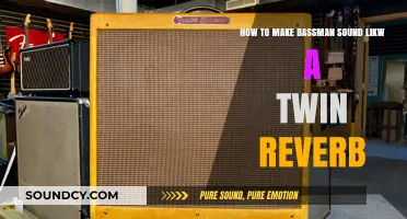 Crafting Twin Reverb Tones: Transform Your Bassman Amp's Sound