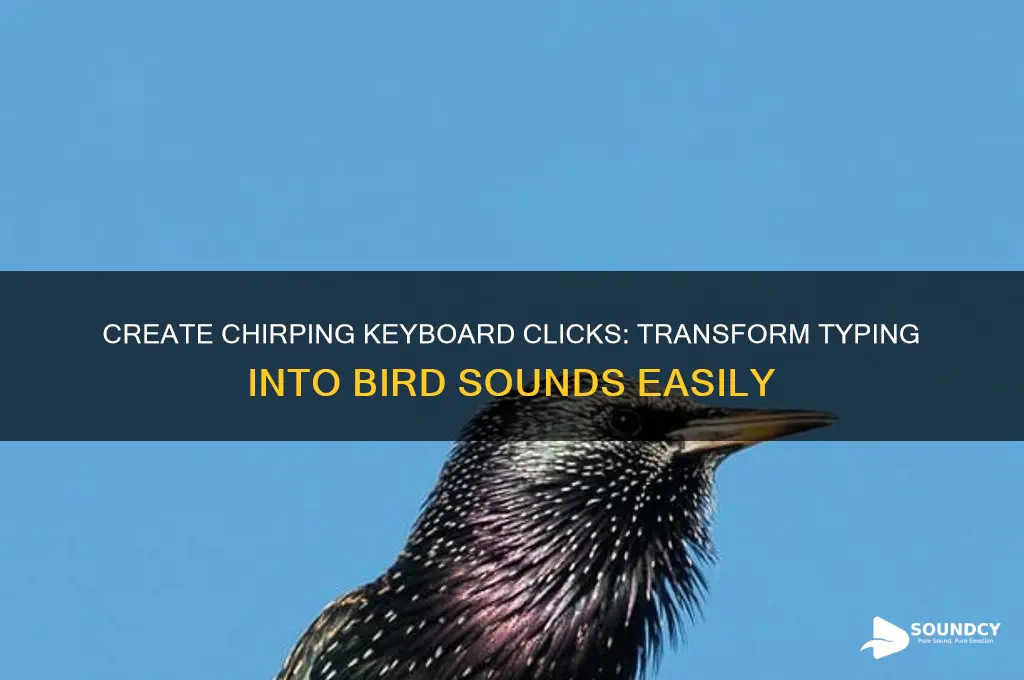 how to make bird sound on each keyboard click