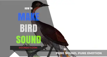 Mastering Bird Sounds: Techniques to Mimic and Create Authentic Calls