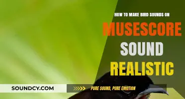 Mastering Realistic Bird Sounds in MuseScore: Techniques and Tips